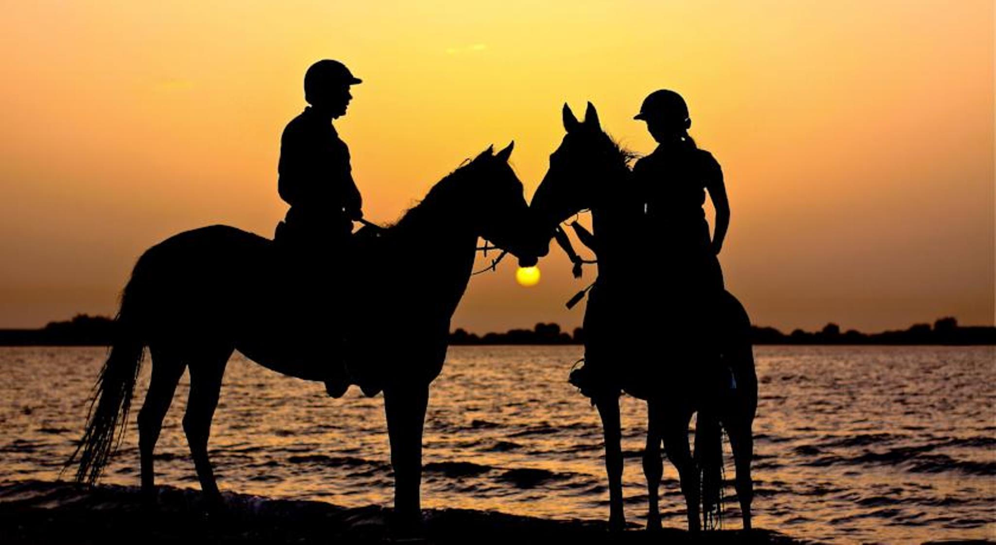 Anantara Sir Bani Yas Island Al Yamm Villa Resort Da'sah Exterior photo